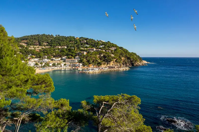 La platja de Llafranc des de l'aire amb turons verds
