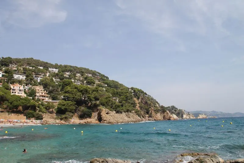 Cala tranquil·la d'aigua clara i vegetació